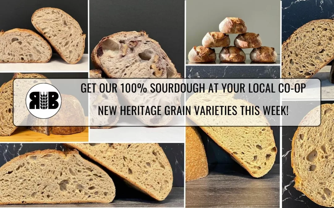 New Heritage Grain Varieties!